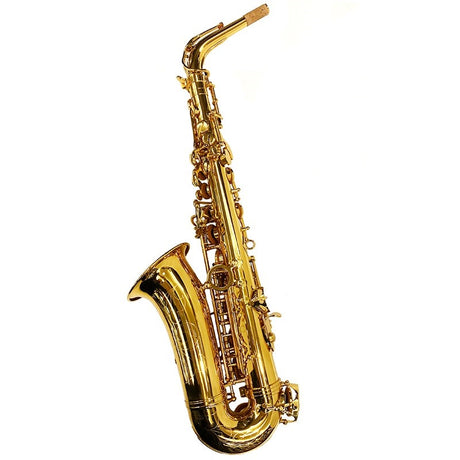 Brasspier_Unicorn_Alto_Saxophone_BPA1-GL_[Adjusted_and_Set_Up_Before_Shipment]_[Free_Key_Balance_Adjustment_for_5_Years]_[Autumn_Super_Sale]_02
