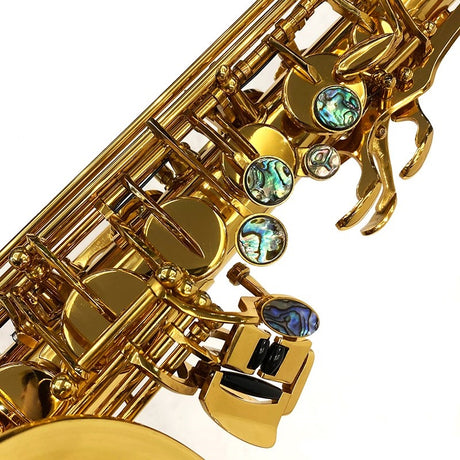 Brasspier_Unicorn_Alto_Saxophone_BPA1-GL_[Adjusted_and_Set_Up_Before_Shipment]_[Free_Key_Balance_Adjustment_for_5_Years]_[Autumn_Super_Sale]_04