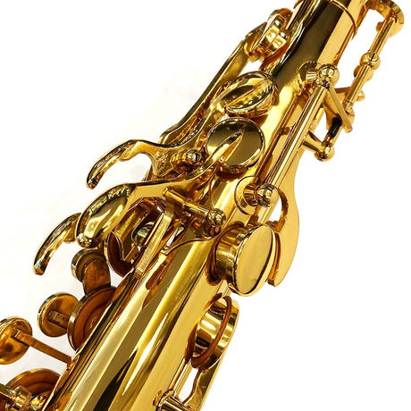 Brasspier_Unicorn_Alto_Saxophone_BPA1-GL_[Adjusted_and_Set_Up_Before_Shipment]_[Free_Key_Balance_Adjustment_for_5_Years]_[Autumn_Super_Sale]_05