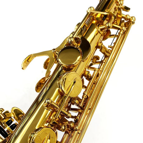 Brasspier_Unicorn_Alto_Saxophone_BPA1-GL_[Adjusted_and_Set_Up_Before_Shipment]_[Free_Key_Balance_Adjustment_for_5_Years]_[Autumn_Super_Sale]_06