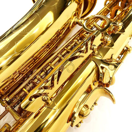 Brasspier_Unicorn_Alto_Saxophone_BPA1-GL_[Adjusted_and_Set_Up_Before_Shipment]_[Free_Key_Balance_Adjustment_for_5_Years]_[Autumn_Super_Sale]_08
