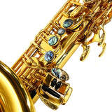 Brasspier_Unicorn_BPT1-GL_Tenor_Saxophone_[Adjusted_and_Set_Up_Before_Shipment]_[Free_Key_Balance_Adjustment_for_5_Years]_04