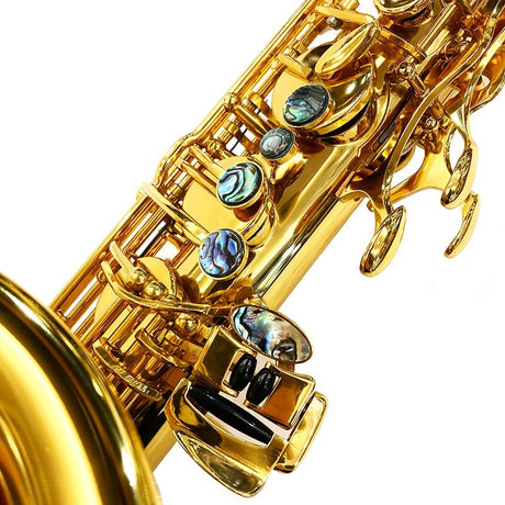 Brasspier_Unicorn_BPT1-GL_Tenor_Saxophone_[Adjusted_and_Set_Up_Before_Shipment]_[Free_Key_Balance_Adjustment_for_5_Years]_04