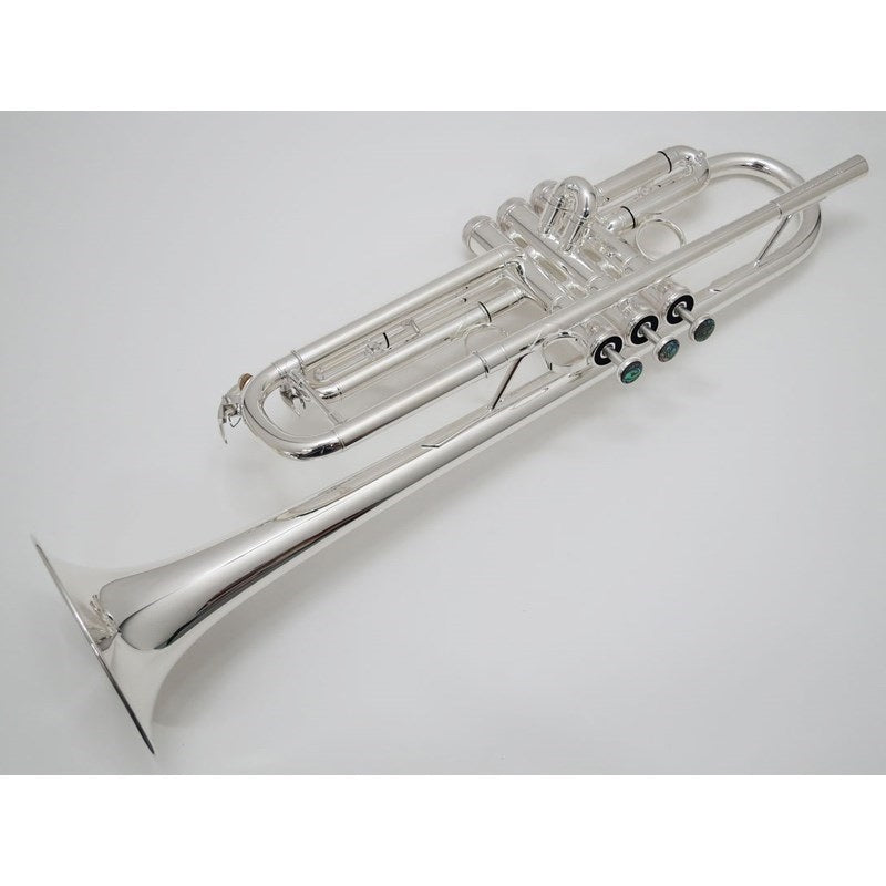 Brasspire_Unicorn___BPTR-770S_[Bb_Trumpet]_[Pre-shipment_adjustment_for_peace_of_mind]_02