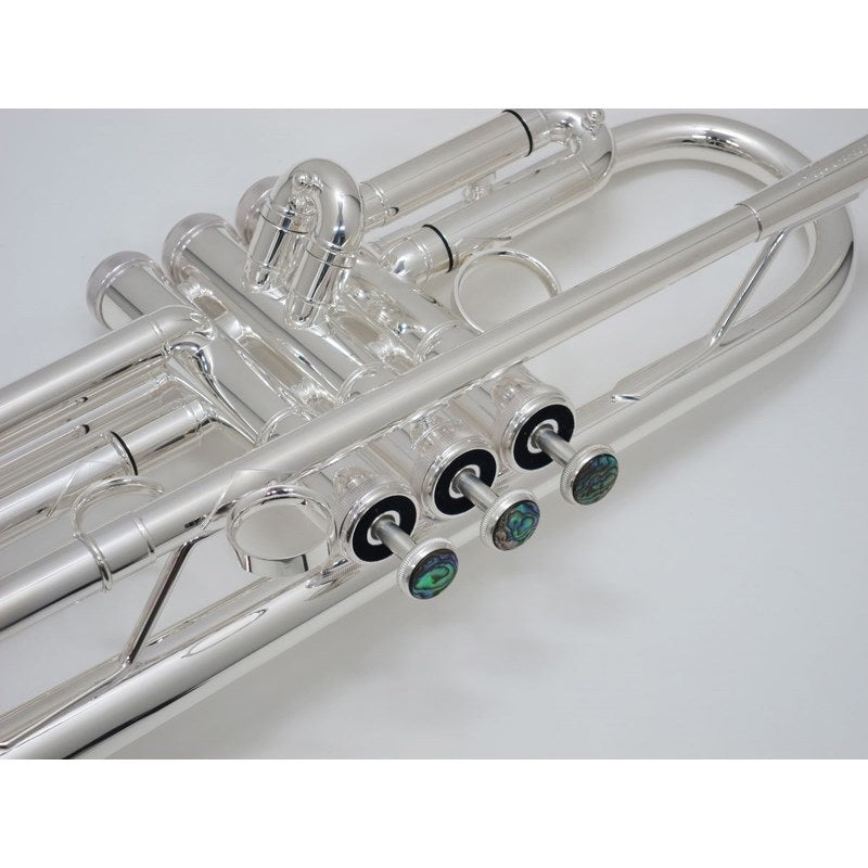 Brasspire_Unicorn___BPTR-770S_[Bb_Trumpet]_[Pre-shipment_adjustment_for_peace_of_mind]_06