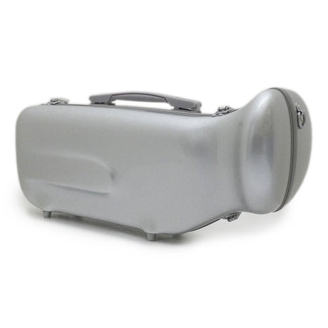 CC_Shiny_Case_II_Trumpet_Single_Case，_Normal_Silver_(SV_G)_01