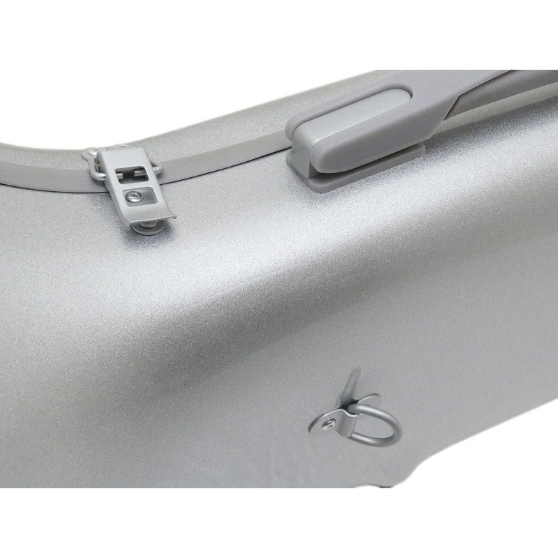 CC_Shiny_Case_II_Trumpet_Single_Case，_Normal_Silver_(SV_G)_02