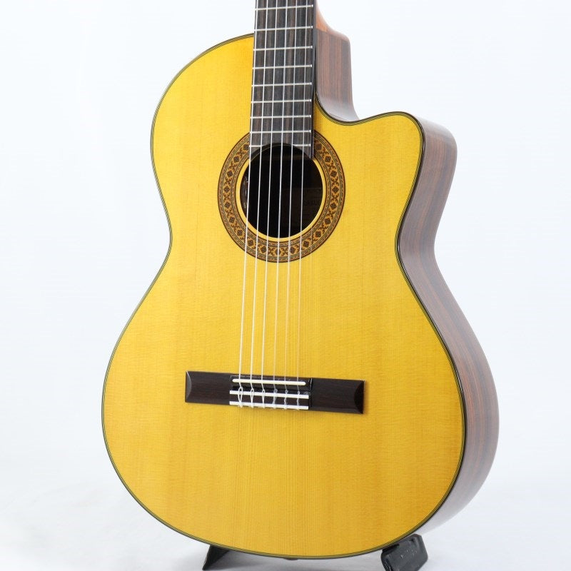 CE-1D_[Not_Catalog_Model]_K_Yairi_01