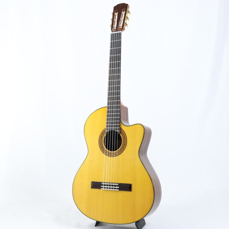 CE-1D_[Not_Catalog_Model]_K_Yairi_02