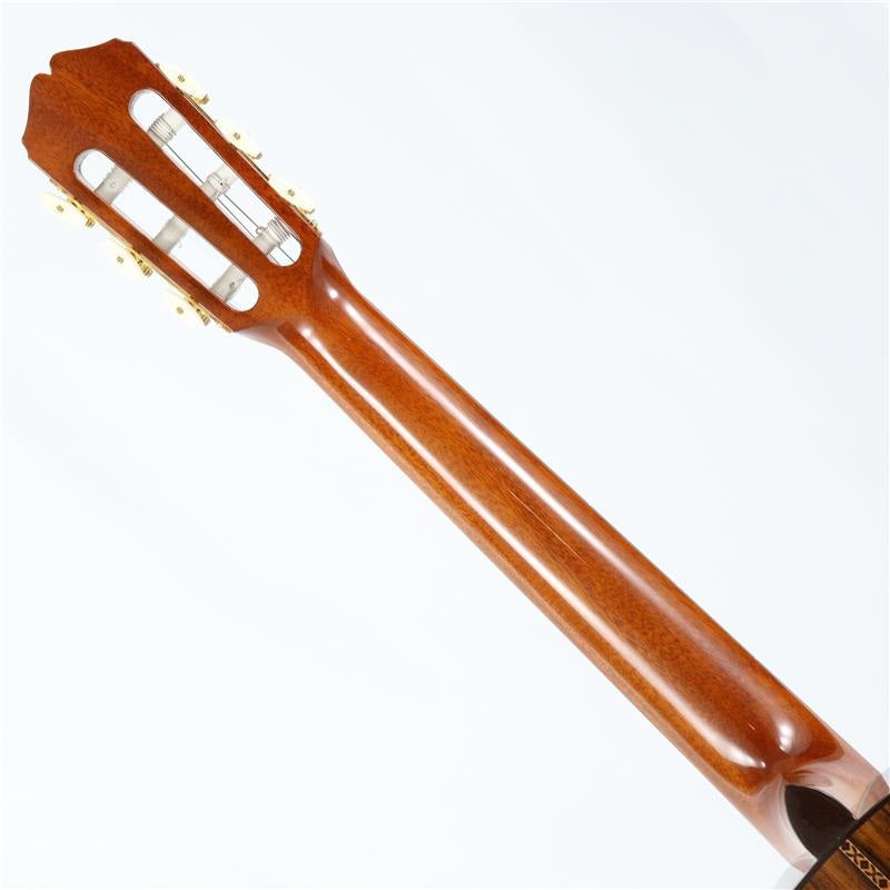 CE-3D_NC_[Not_Catalog_Model]_K_Yairi_08