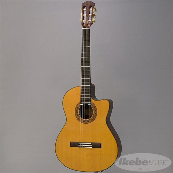 CE-3D_[Not_Catalog_Model]_K_Yairi_03