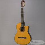 CE-3D_[Not_Catalog_Model]_K_Yairi_03