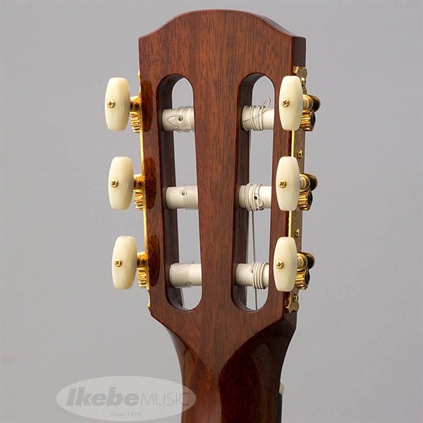 CE-3D_[Not_Catalog_Model]_K_Yairi_06