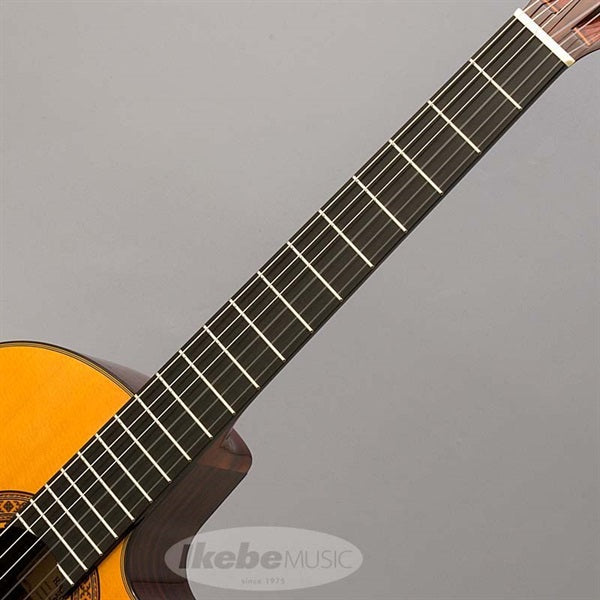 CE-3D_[Not_Catalog_Model]_K_Yairi_07