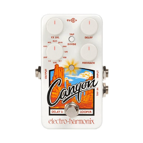 Canyon_[Delay_&_Loopers]_Delay_Electro-Harmonix_01