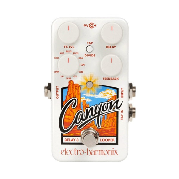 Canyon_[Delay_&_Loopers]_Delay_Electro-Harmonix_01