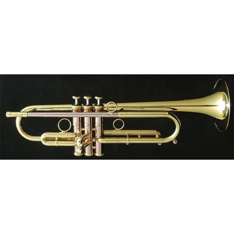 Carol_Brass___Andrea_Giuffredi_Commercial_Model_CL_[Bb_Trumpet]_[Pre-shipment_adjustment_for_peace_of_mind]_01