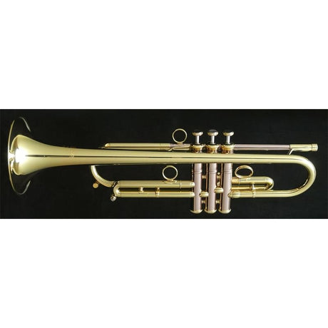 Carol_Brass___Andrea_Giuffredi_Commercial_Model_CL_[Bb_Trumpet]_[Pre-shipment_adjustment_for_peace_of_mind]_02