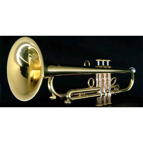 Carol_Brass___Andrea_Giuffredi_Commercial_Model_CL_[Bb_Trumpet]_[Pre-shipment_adjustment_for_peace_of_mind]_03