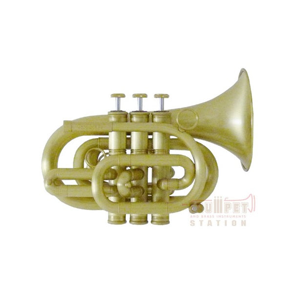 Carol_Brass___N3000_ALL-SATIN_Bb_Pocket_Trumpet_[Pre-tuned_for_peace_of_mind]_01