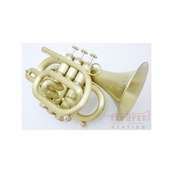 Carol_Brass___N3000_ALL-SATIN_Bb_Pocket_Trumpet_[Pre-tuned_for_peace_of_mind]_02