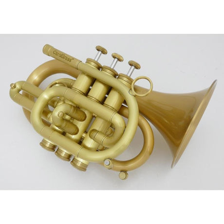 Carol_Brass___N3000_ALL-SATIN_GB_(#144__6)_[Bb_Pocket_Trumpet]_[Brand_New_with_Minor_Scratches，_Super_Low_Price!!]_02