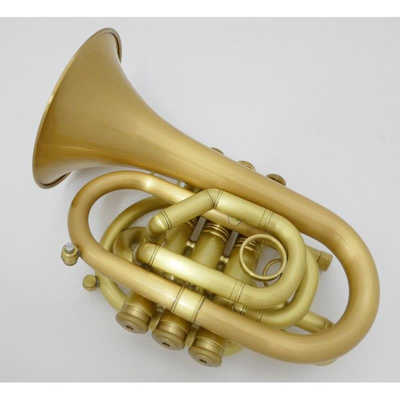 Carol_Brass___N3000_ALL-SATIN_GB_(#144__6)_[Bb_Pocket_Trumpet]_[Brand_New_with_Minor_Scratches，_Super_Low_Price!!]_03