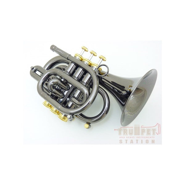 Carol_Brass___N3000_BLK_GB_[Bb_Pocket_Trumpet]_[Pre-shipping_Adjustment_for_Peace_of_Mind]_[Biggest_Clearance_Sale_Ever]_02