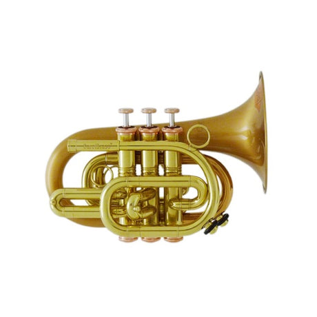 Carol_Brass___N3002_Arturo_Sandoval_Bb_Pocket_Trumpet_[Pre-tuned_for_peace_of_mind]_01