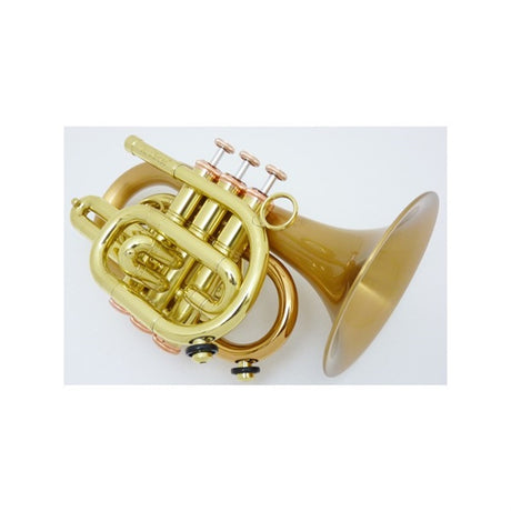 Carol_Brass___N3002_Arturo_Sandoval_Bb_Pocket_Trumpet_[Pre-tuned_for_peace_of_mind]_02