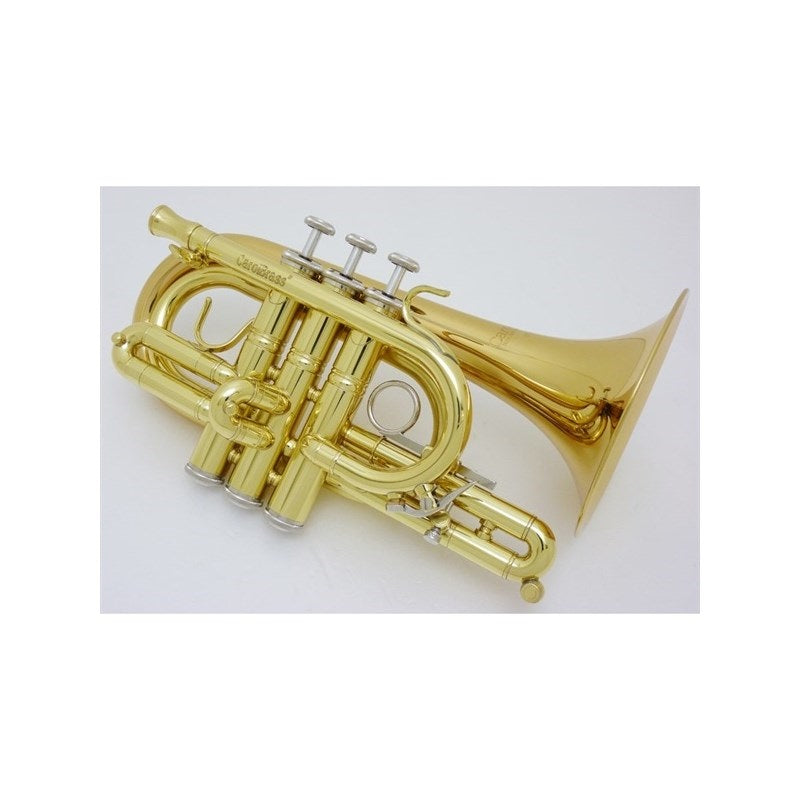 Carol_Brass___N4000_GB_[C_Pocket_Trumpet]_[Pre-shipment_Adjustment_for_Peace_of_Mind]_02
