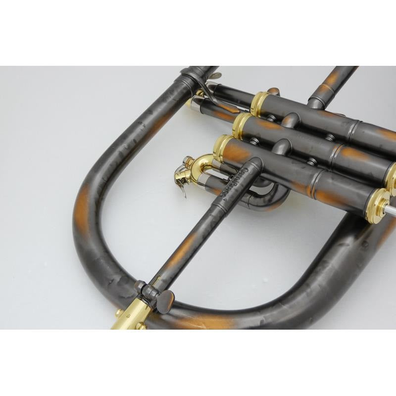 Carol_Brass___N6200_Antique_black_(RD)_GB_[Bb_Flugelhorn]_[Brand_new，_slightly_damaged，_super_low_price!!]_07