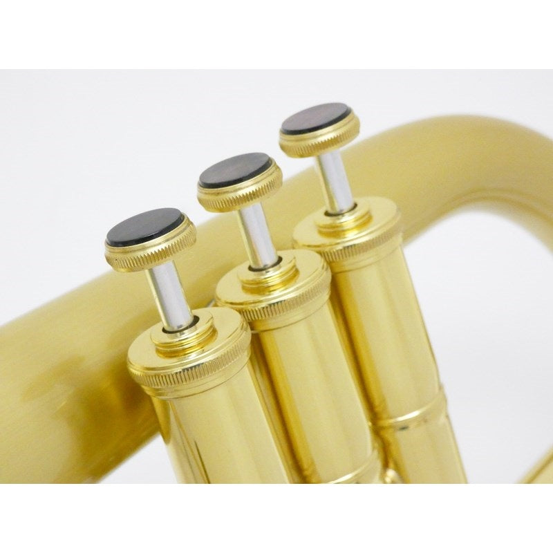 Carol_Brass___N6200_Satin-Bell_Bb_Flugel_Horn_[Pre-tuned_for_peace_of_mind]_05