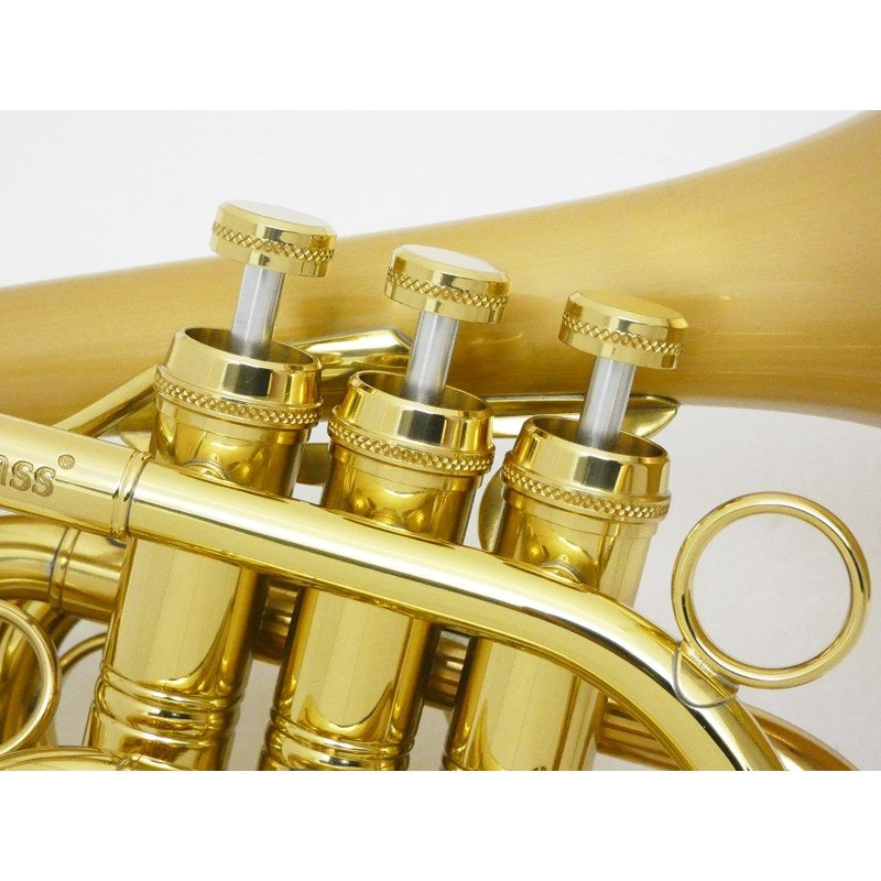 Carol_Brass___N7000_Satin-Bell_GB_(Dizzy)_Bb_Pocket_Trumpet_[Pre-tuned_for_peace_of_mind]_04
