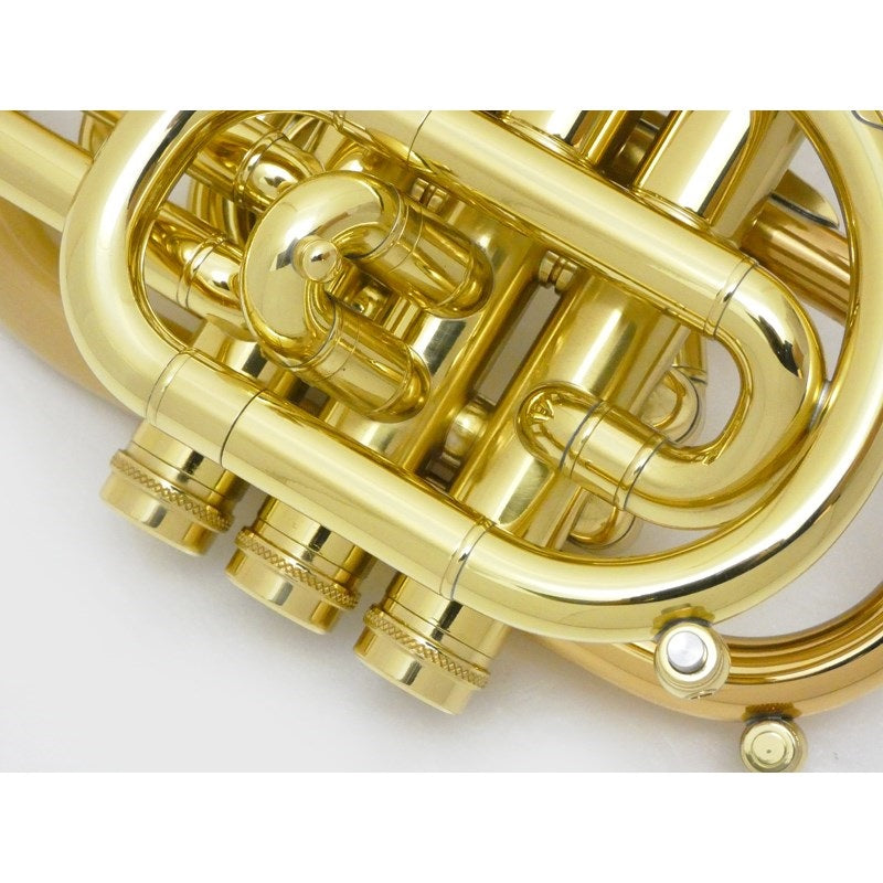 Carol_Brass___N7000_Satin-Bell_GB_(Dizzy)_Bb_Pocket_Trumpet_[Pre-tuned_for_peace_of_mind]_05