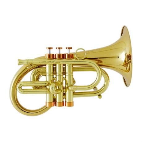 Carol_Brass___Taylor_Phat_Puppy_CL_[Bb_Pocket_Flugel_Horn]_[Pre-tuned_for_peace_of_mind]_01
