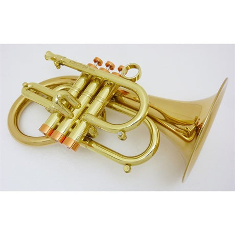 Carol_Brass___Taylor_Phat_Puppy_CL_[Bb_Pocket_Flugel_Horn]_[Pre-tuned_for_peace_of_mind]_02
