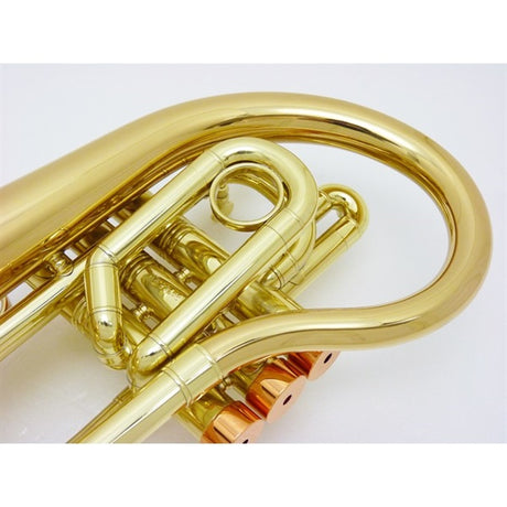 Carol_Brass___Taylor_Phat_Puppy_CL_[Bb_Pocket_Flugel_Horn]_[Pre-tuned_for_peace_of_mind]_04