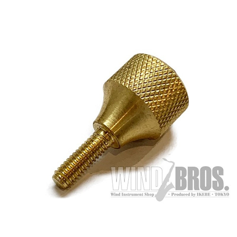 [Clearance_Sale!]_KGU_Heavy_Neck_Screw_#143_for_Selmer_(Faux_Ruby_Unlacquered)_02