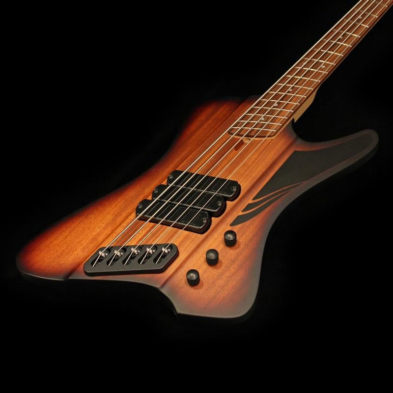 D-Roc_Standard_5strings_(Matte_Vintageburst)_02