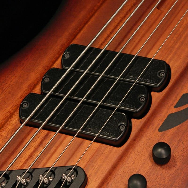 D-Roc_Standard_5strings_(Matte_Vintageburst)_03