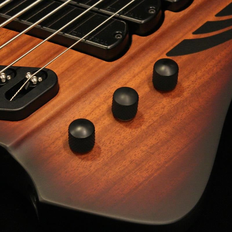 D-Roc_Standard_5strings_(Matte_Vintageburst)_04