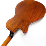 DCR-TBB_Sterplayer_CBR_(Tobacco_Burst)_07