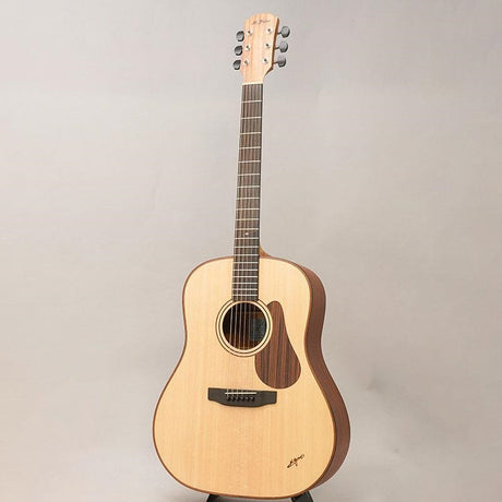 DR-WD110_K__Yairi_03