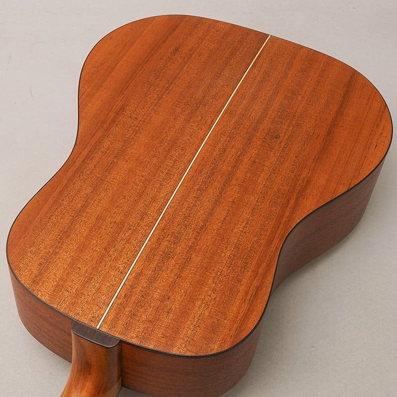 DR-WD110_K__Yairi_06