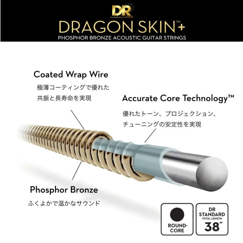 DRAGON_SKIN_Light_010-048_[Phosphor_Bronze_DAP-10]_DR_02