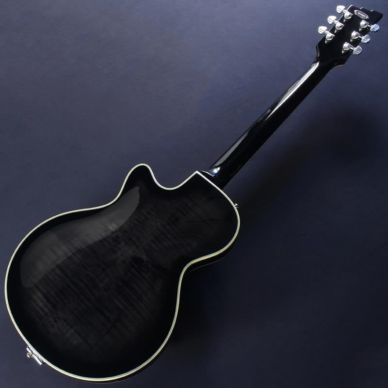 DTV-CSR_Starplayer_TV_(Catalina_Sunset_Rose)_#241997_06