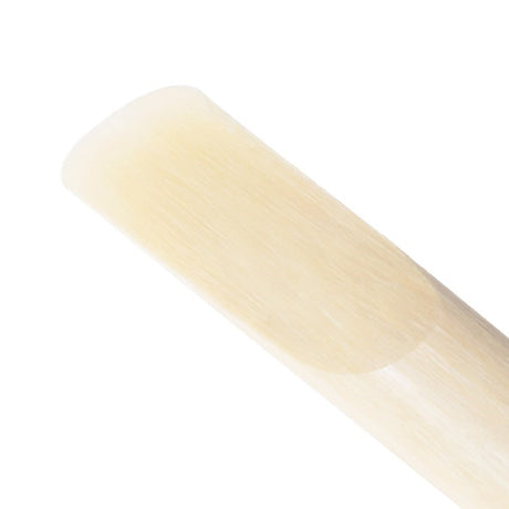 D'Addario_Woodwinds_VENN_Alto_Saxophone_Reed_(Hardness__4_0)_[Autumn_Super_Sale]_02