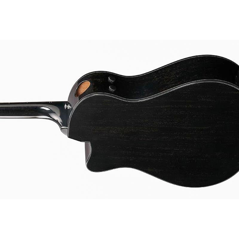 [Discontinued_Special_Price]_AAM340CE-RUB_Ibanez_04