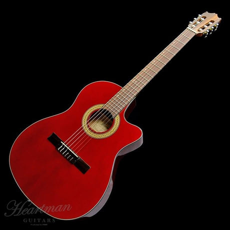 [Discontinued_Special_Price]_Ibanez_GA30TCE-TRD_01